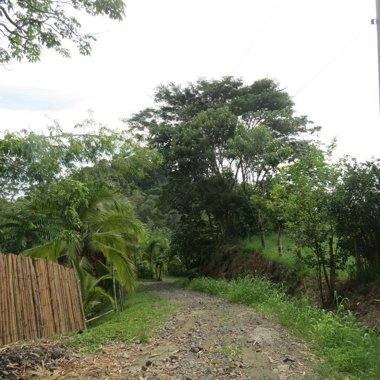 Apartamento Karibu Manuel Antonio Pokój zdjęcie