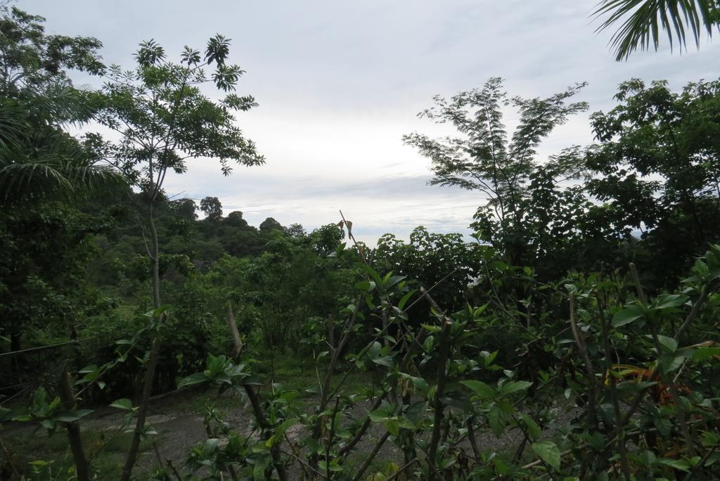 Apartamento Karibu Manuel Antonio Pokój zdjęcie